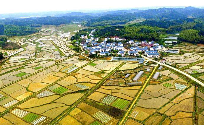 西安市臨潼區農村“房地一體”宅基地和集體建設用地不動產權籍調查牽頭服務采購項目、地權籍調查服務采購項目